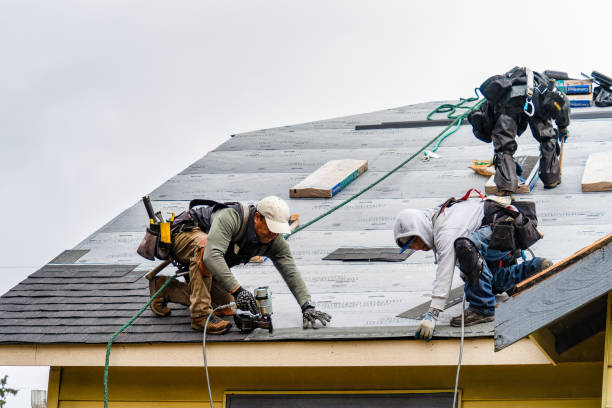 Professional Roof Inspection technician working in New Town, MA